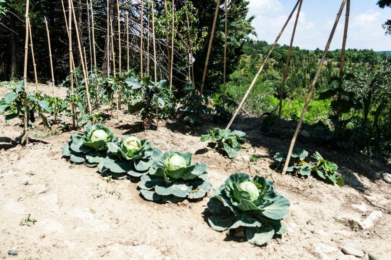 Le Terre Di Caprano 호텔 치타디카스텔로 외부 사진